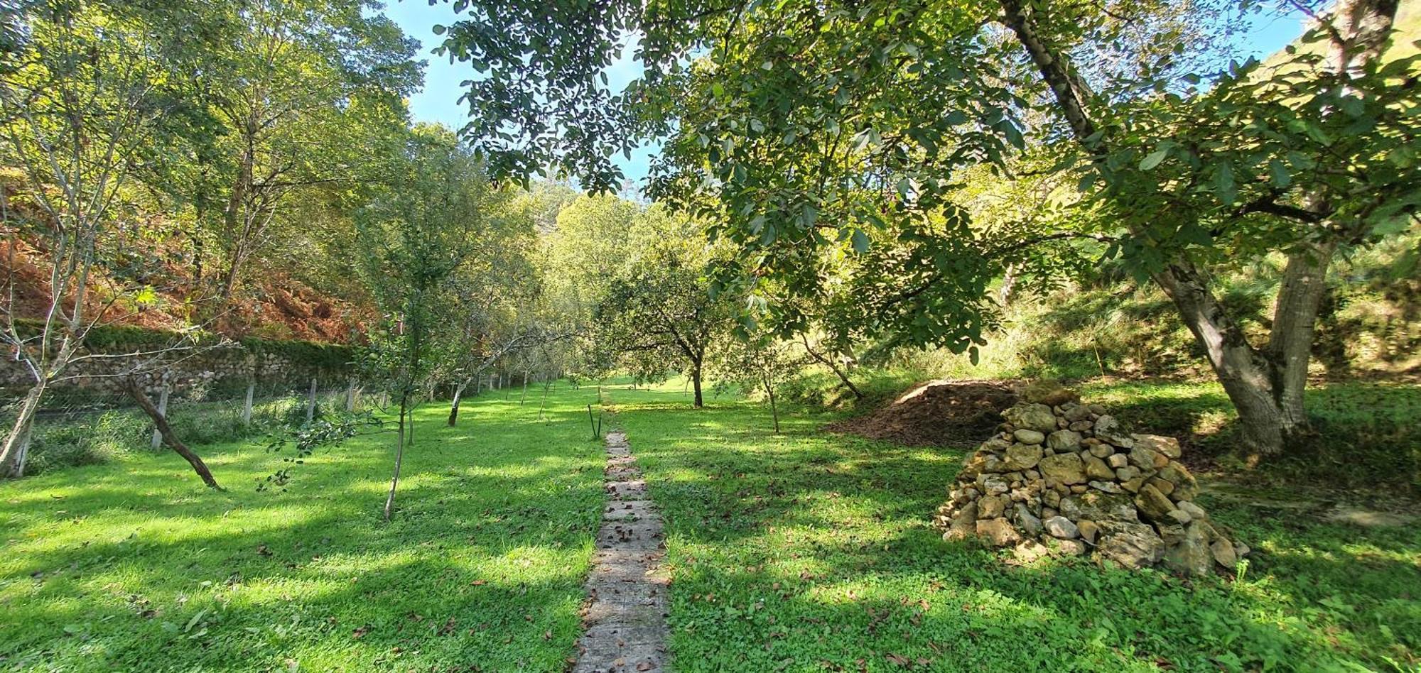 La Casona De La Vega Junto A Onís Buitenkant foto